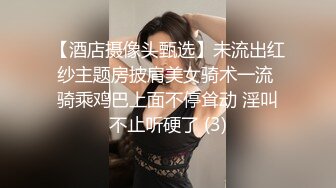 一泊二日、美少女完全予約制第二章