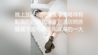 我的私下宠物女仆