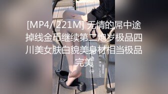 骚老婆，三p