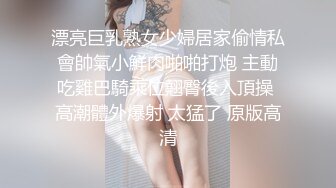 欧美巨乳重口拳交阿姨Naughty Alysha合集【389V】 (52)