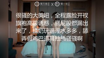 你的女神有钱人的母狗，推特金主【优雅金领S】，有钱又会玩女，各种拜金外围女模臣服屌下，露出调教啪啪让人羡慕 (4)