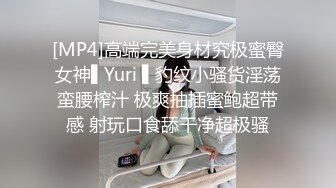 小母狗刚开始装矜持说不要