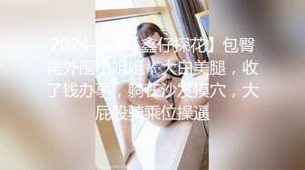 2024-5-3【鑫仔探花】包臀裙外围小姐姐，大白美腿，收了钱办事，躺在沙发摸穴，大屁股骑乘位操逼