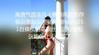 猎奇最美TS人妖系列26