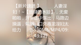 母狗的狗奶子2