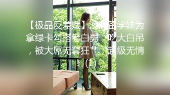 91 猫先生 catman 合集 2020-03-17 强势女ceo 上海 白富美 女王范 下部 &#8211;