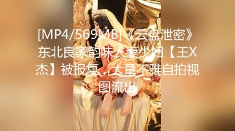 (gvh00534)お色気PA会長と悪ガキ生徒会 綾瀬麻衣子