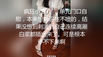 推特NTR媚黑夫妻，宝宝米奇系列，露脸长视频，《绝美少妇蕾丝战袍体验，玩具插穴口爆篇》