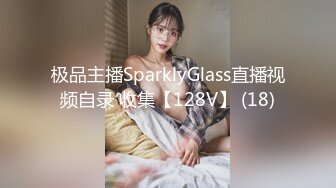 极品主播SparklyGlass直播视频自录 收集【128V】 (18)