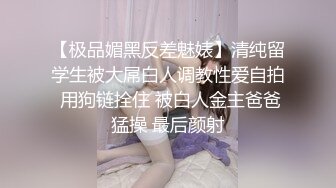 好猫我脑海