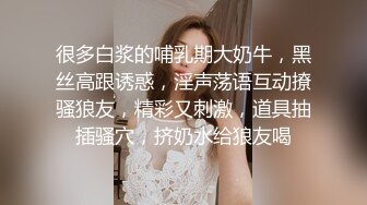 大像传媒之癡女輕熟女多人輪戰-奈奈