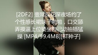 [2DF2] 壹屌探花深夜场约了个性感长裙妹子啪啪，口交舔弄摸逼上位骑坐自己动抽插猛操 [MP4/99.4MB][BT种子]