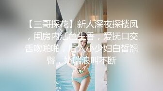 赵总寻花  长腿美模