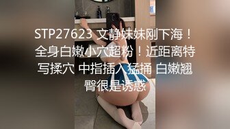 AI绘画 人工智能 动漫风模拟写实真人 淫荡 痴女 无修正[530P/112M]