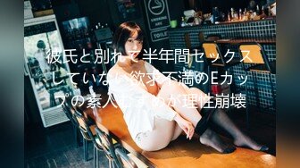 ★☆稀缺资源☆★美少女杀手【最爱萝莉】E奶高颜值女神车震极品野模破处后入被操哭 (3)