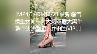 极品啊 都是本钱 晚上被人骑 白天开大G MonaSM Club Art Bondage[87P/261M]