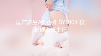 国产麻豆AV 番外 SYL004 校长硬上班主任