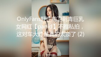 OnlyFans野性前卫刺青巨乳女网红【panid】不雅私拍，这对车大灯是真的太顶了 (2)