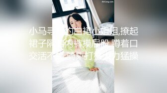 小马寻花约白裙小姐姐,撩起裙子隔着内裤摸屁股,蹲着口交活不错,骑乘打桩大力猛操