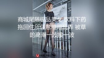 后入母狗老婆2