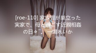 Hamars World 11 前编～愈しを渇望する彼女～ - 饭田せいこ。