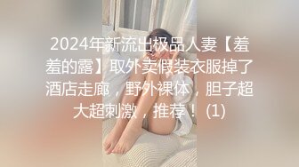 [HD/3.5G] 2024-11-05 HKD-70 HongKongDoll 同居的她 中篇-玩偶姐姐