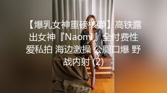 【爆乳女神重磅核弹】高铁露出女神『Naomi』全付费性爱私拍 海边激操 公厕口爆 野战内射 (2)