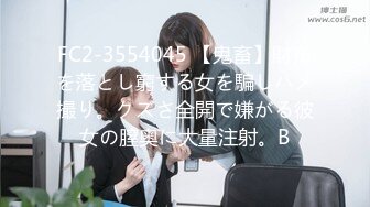 FC2-3554045 【鬼畜】財布を落とし窮する女を騙しハメ撮り。クズさ全開で嫌がる彼女の膣奥に大量注射。B