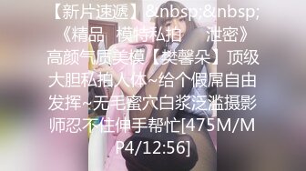 [MP4]麻豆导演系列-色淫師硬上巨乳雷姆coser 诱惑口活射出还要再来一炮