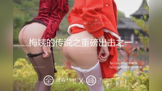 STP24125 涩会传媒SH004 《我的嫂子是妓女》 漂亮嫂子无法忘 嫖娼意外从天降 新人女优 韩梦嫣