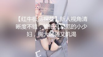 国产麻豆AV 涩会 SH011 出轨的少妇 新人女优 刘素娅