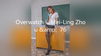 Overwatch -  Mei-Ling Zhou &amp;  76