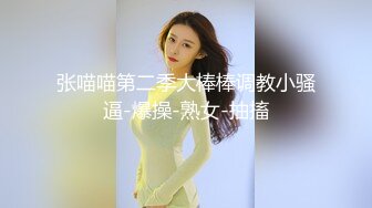 【极品女友淫操记】淫荡女友在椅子上翘起白嫩美臀迎接后入猛烈抽插 无套爆操 画面感超强超刺激