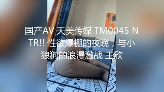 国产AV 天美传媒 TM0045 NTR!! 性欲爆棚的夜晚，与小狼狗的浪漫激战 王欣