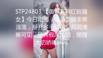 河北我的大学女友第二部