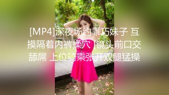 [MP4]前导性爱指南 真实贴近台湾第一女优吴梦梦的24小时做爱全记录