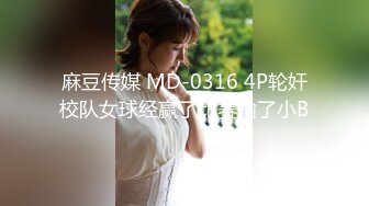 続・妻ネトリ 郁美と静香